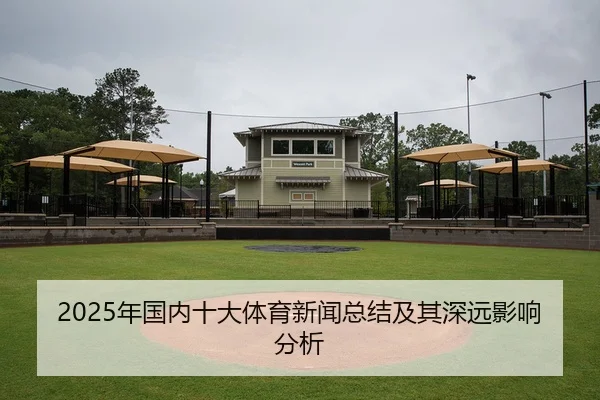 2025年国内十大体育新闻总结及其深远影响分析